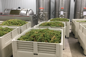 Five Vines Winery, LLC image
