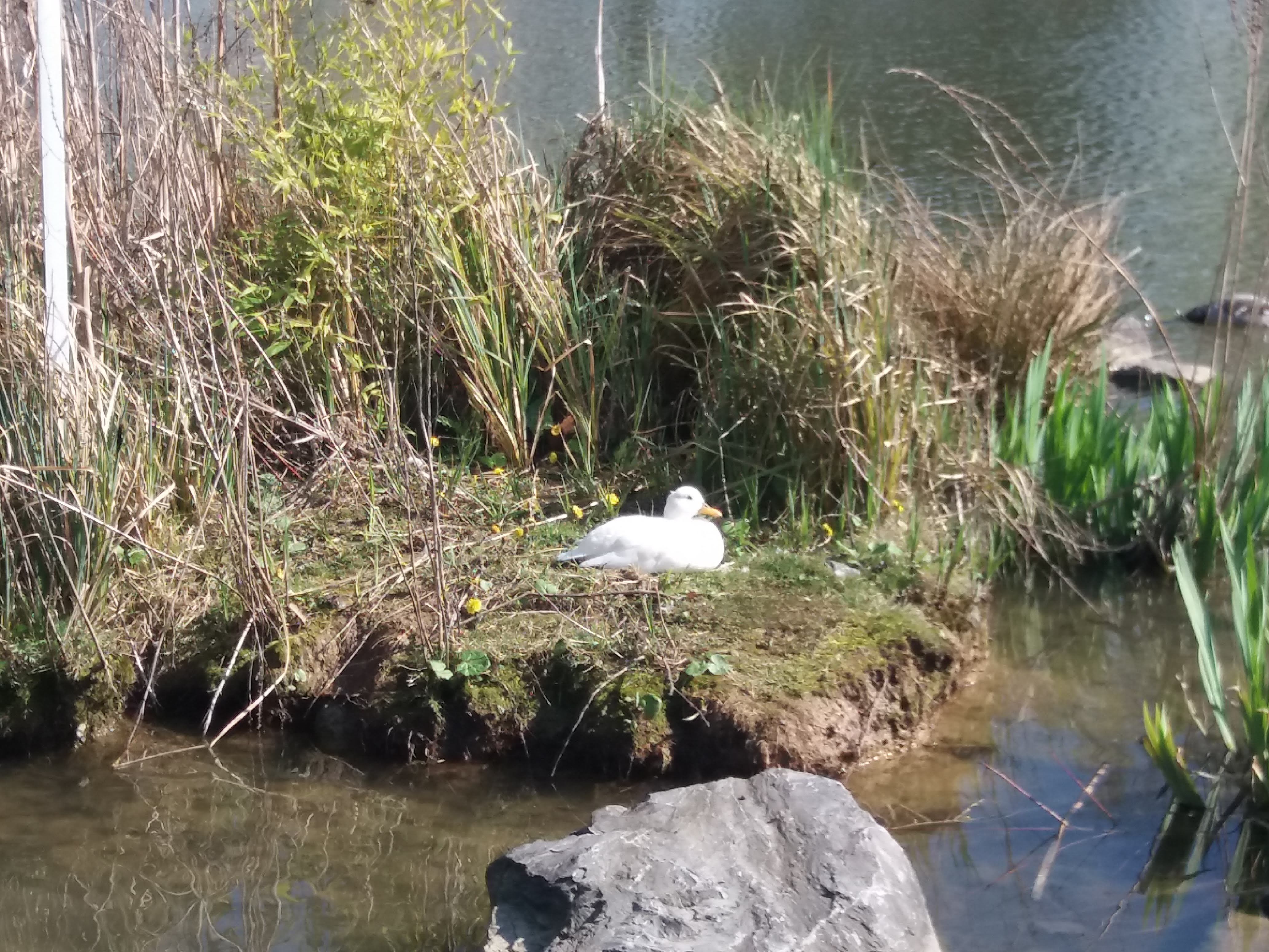 Photo n° 1 de l'avis de Doriane.e fait le 03/04/2019 à 10:43