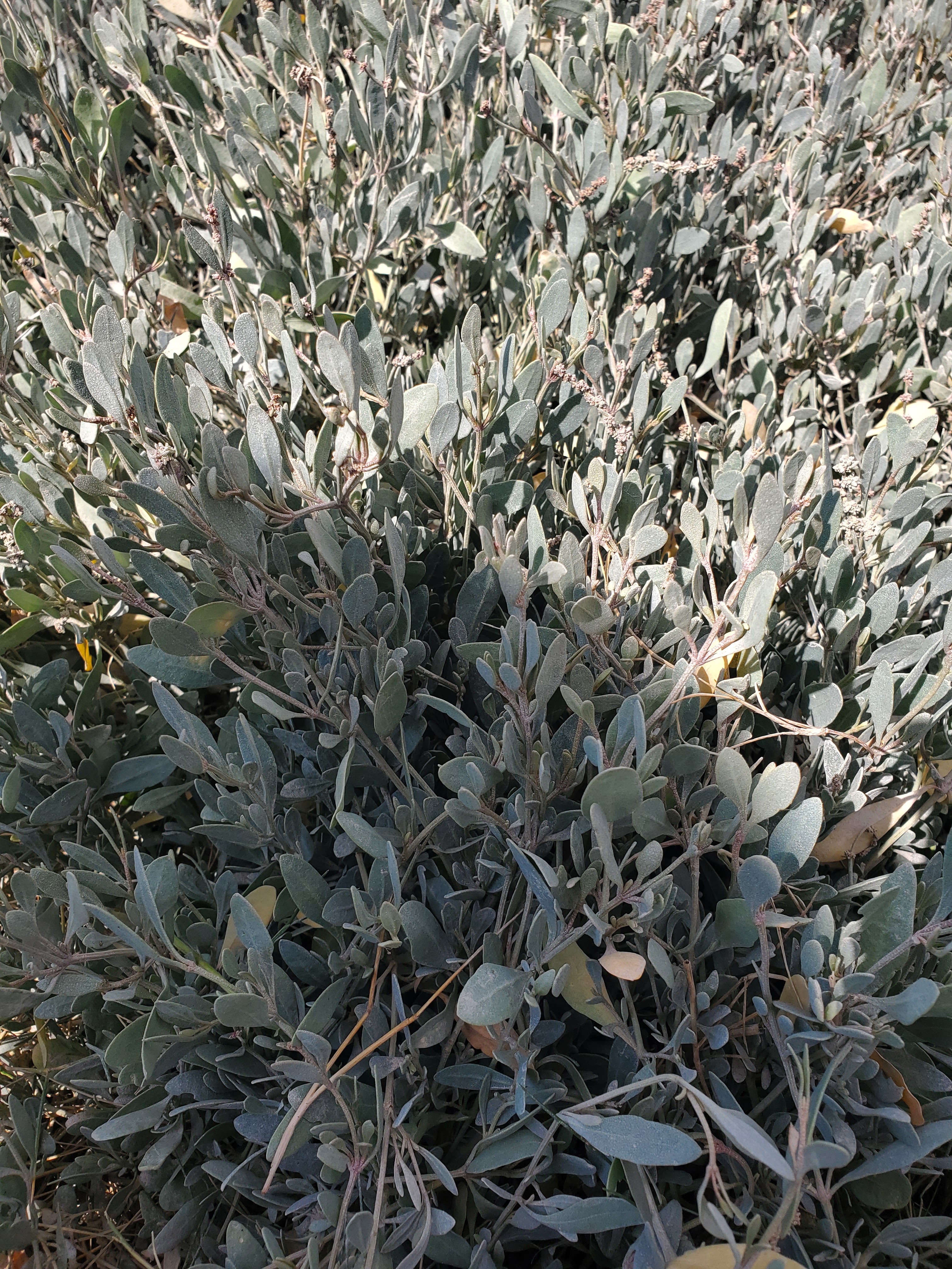 Photo n° 6 de l'avis de Maria.a fait le 30/08/2022 à 15:44