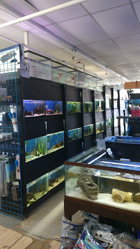 Tropical Fish Store «Blakes Aqua Den LLC», reviews and photos, 1263 E Main St, Meriden, CT 06450, USA