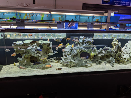 Tropical Fish Store «Salty Fish Aquariums», reviews and photos, 5535 Brewster St, San Antonio, TX 78233, USA