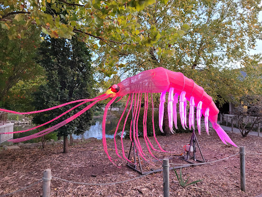 Zoo «Sedgwick County Zoo», reviews and photos, 5555 Zoo Boulevard, Wichita, KS 67212, USA