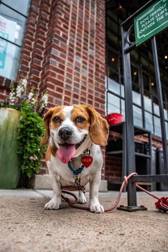 Food Court «The Denver Central Market», reviews and photos, 2669 Larimer St, Denver, CO 80205, USA