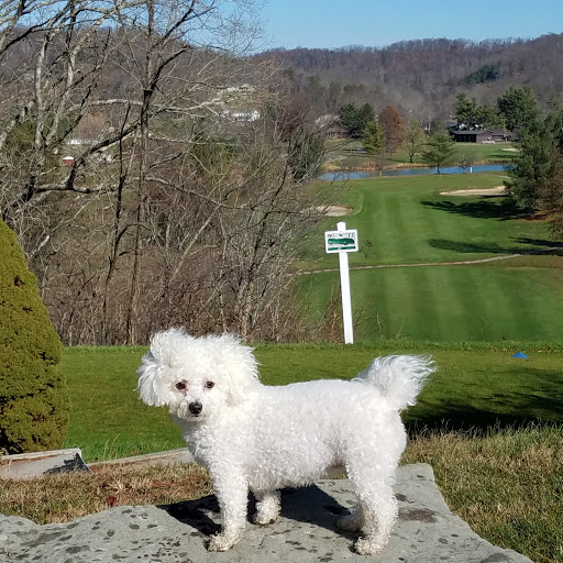 Country Club «Greenhills Country Club», reviews and photos, Old Rte 56, Ravenswood, WV 26164, USA