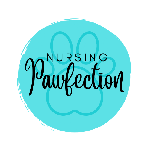 Reviews of Nursing Pawfection in Greymouth - Other