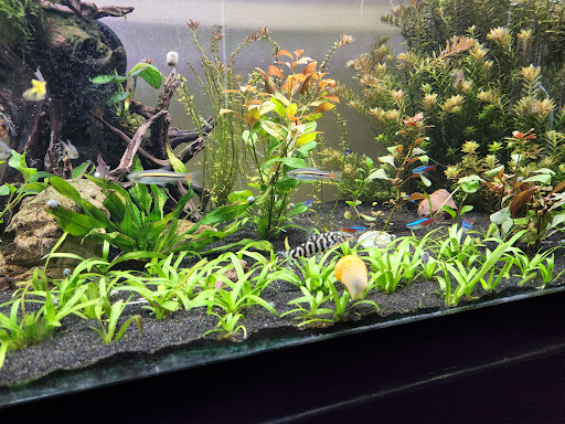 Pet Supply Store «Petco Animal Supplies», reviews and photos, 2520 E 3rd St, Bloomington, IN 47401, USA