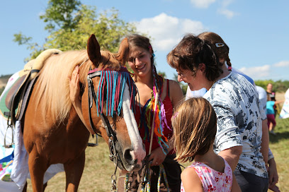 Steinbacherhof - Pferdegestützte Therapie und Selbsterfahrung mit Pferden