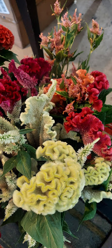 Florist «BLOOMING DESIGNS BY MICHELLE», reviews and photos, 6634 Upper 28th St N, Oakdale, MN 55128, USA