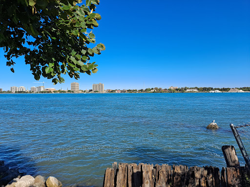 Museum «Port Huron Museum», reviews and photos, 1115 6th St, Port Huron, MI 48060, USA