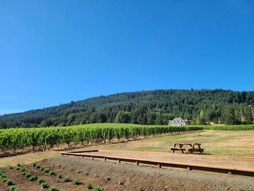 Winery «Cardwell Hill Cellars», reviews and photos, 24241 Cardwell Hill Dr, Philomath, OR 97370, USA