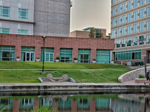 Park «Town Green Park», reviews and photos, 2099 Lake Robbins Dr, The Woodlands, TX 77380, USA