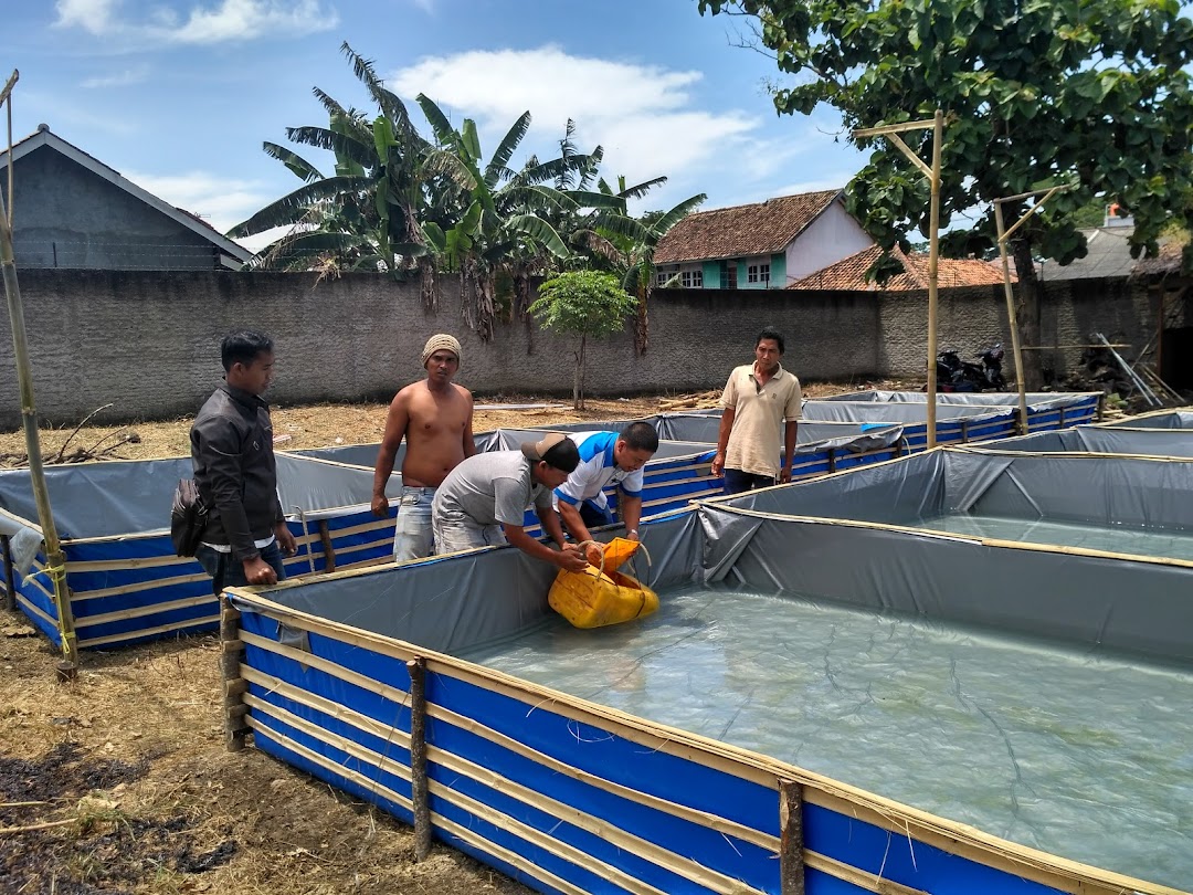 Saung Mawar Lele