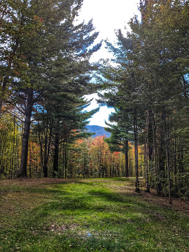 Disc Golf Course «Brewster Ridge Disc Golf Course», reviews and photos, 1239 Edwards Rd, Jeffersonville, VT 05464, USA