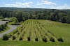 Six Mile Creek Vineyard Logo, Ithaca, United States, Food