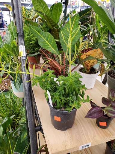 Variety Store «Hi-School Pharmacy & Ace Hardware», reviews and photos, 1357 Monmouth St, Independence, OR 97351, USA