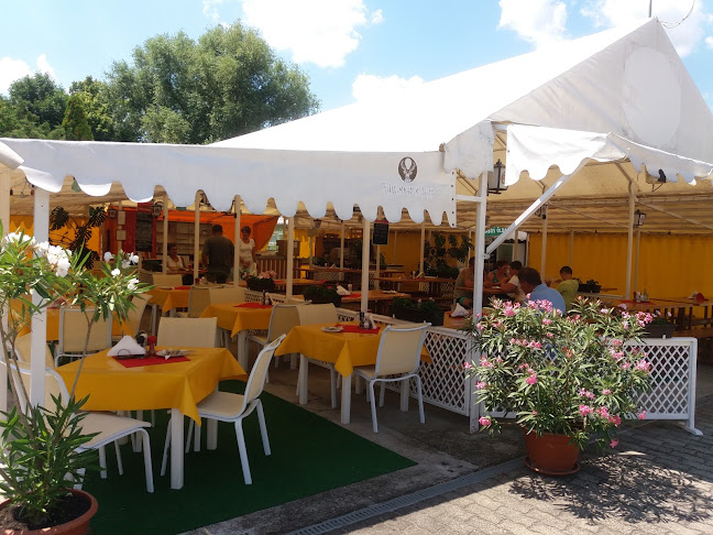 Opinii despre Frank söröző în Tamási - Kocsma