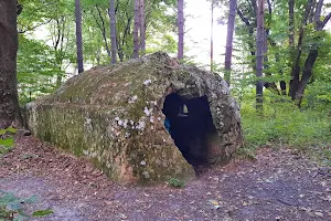 Bozioru Cave Dwellings image