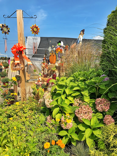 Farm «Lewin Farms», reviews and photos, 812 Sound Ave, Calverton, NY 11933, USA