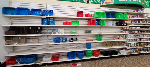 Dollar Store «Dollar Tree», reviews and photos, 1307 Waverly Dr SE, Albany, OR 97322, USA