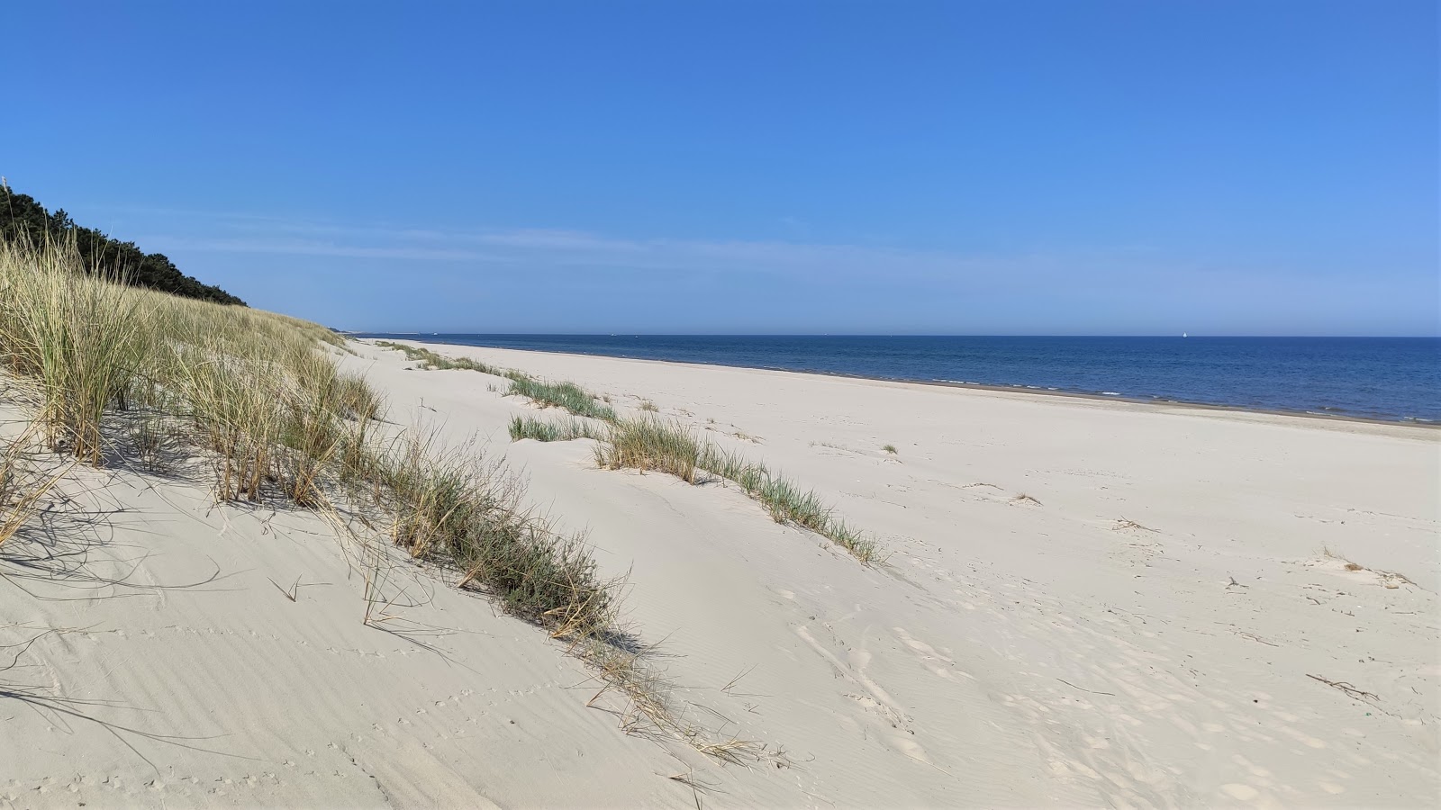 Foto di Mierzeja Sarbska beach con una superficie del sabbia luminosa