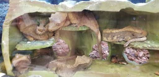 Pet Supply Store «Petco Animal Supplies», reviews and photos, 110 Percival Rd, Columbia, SC 29206, USA