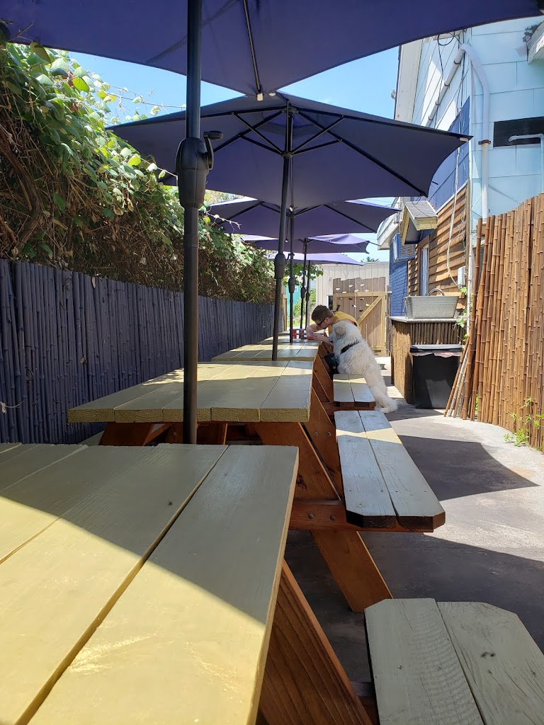 Fish Company Taco 77550