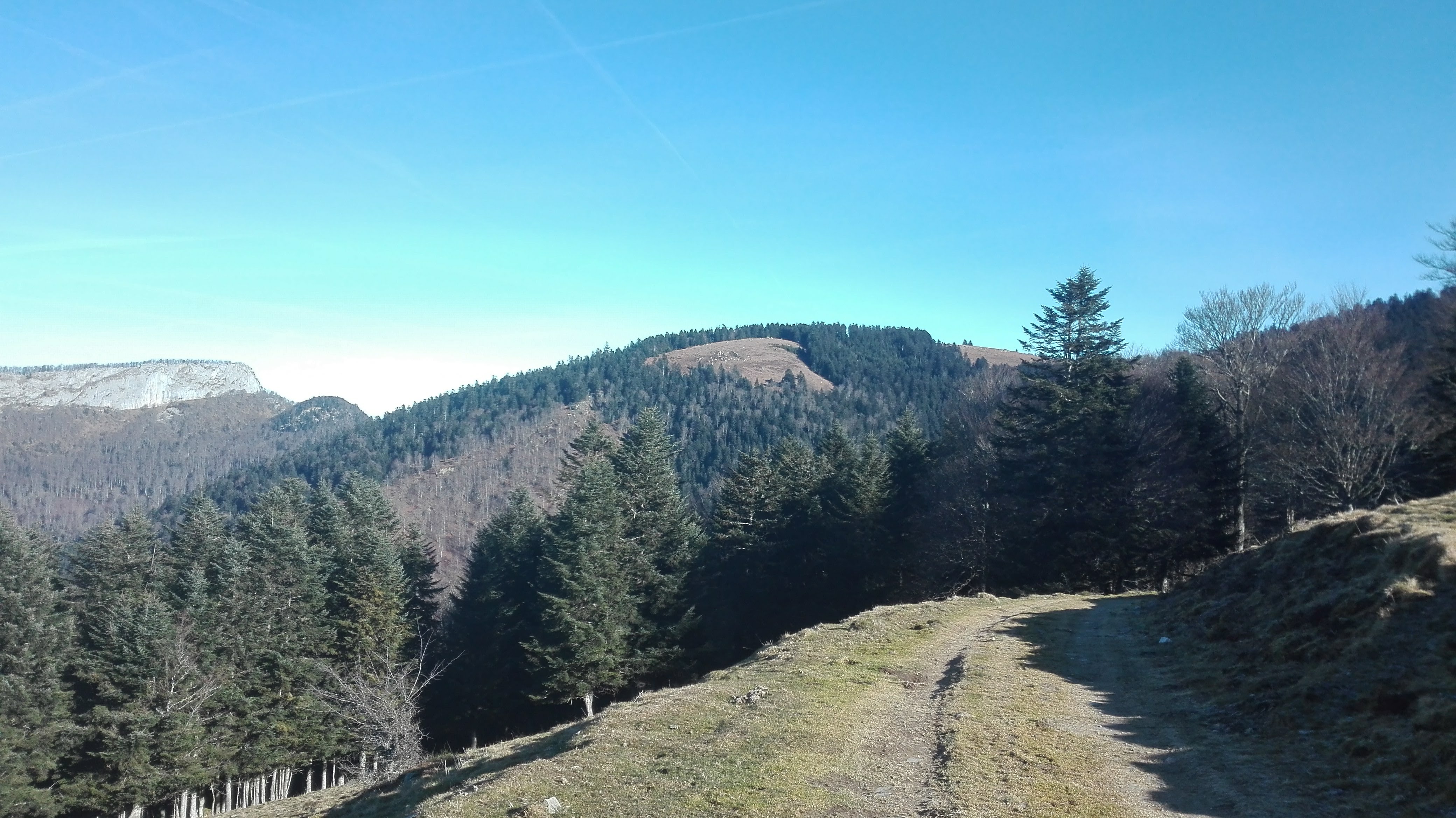 Photo n° 18 de l'avis de LOUIT.O fait le 15/01/2019 à 15:47