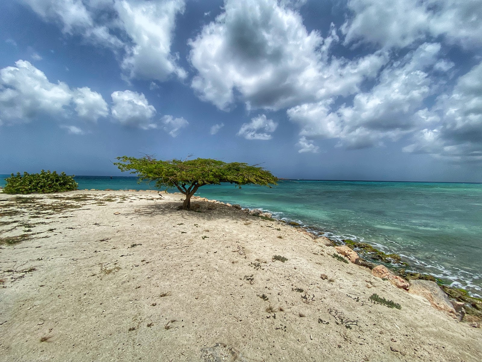 Foto de Bushiri beach Hotel com água cristalina superfície