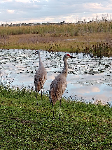 Campground «Savannas Recreation Area», reviews and photos, 1400 E Midway Rd, Fort Pierce, FL 34982, USA