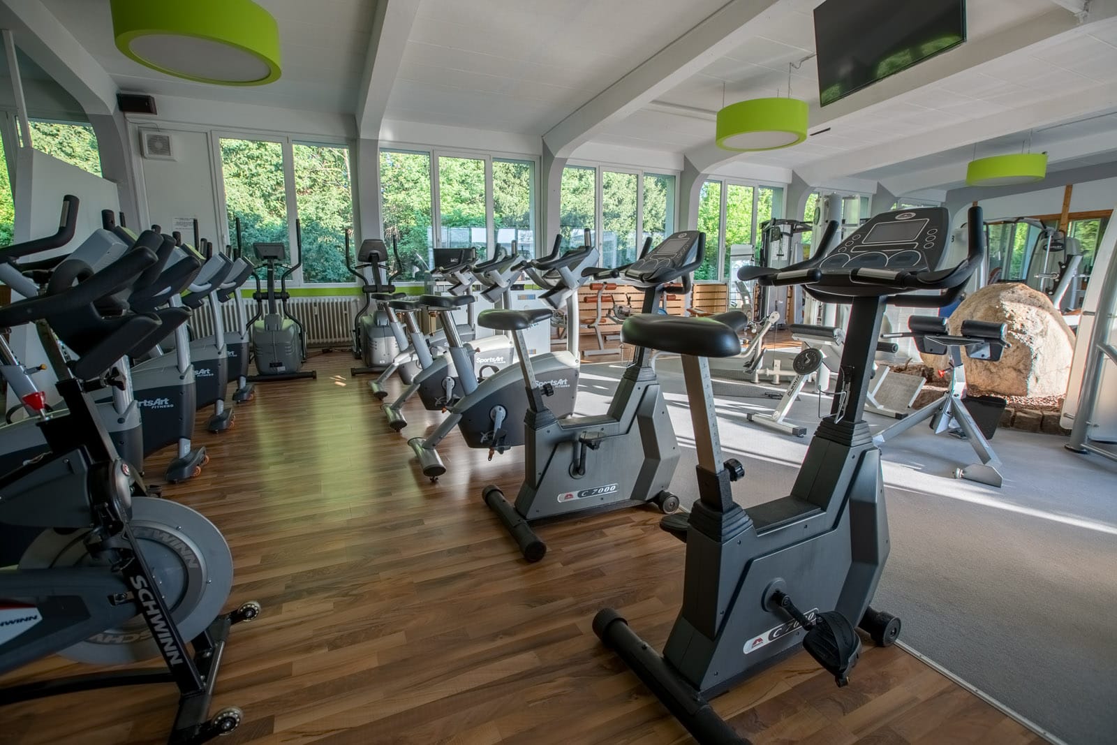 All Sports Fitnessstudio in Bielefeld-Brake: Fitness, Wellness & Gesundheit como cuidar esta planta