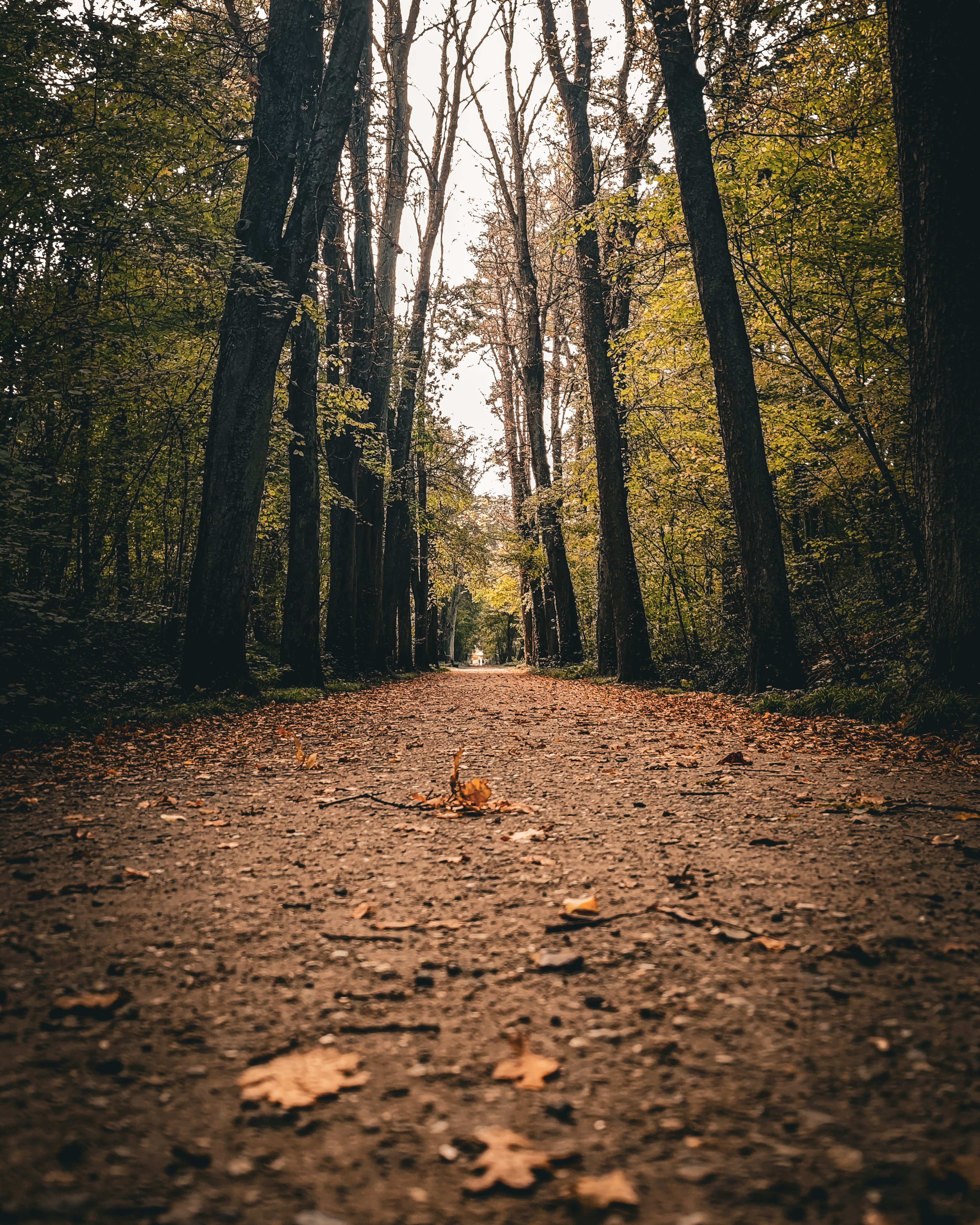 Photo n° 2 de l'avis de Marc.. fait le 17/10/2022 à 13:49