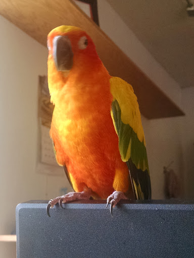 Used Car Dealer «Batavia Auto Mart», reviews and photos, 1025 N Washington Ave, Batavia, IL 60510, USA