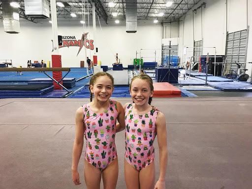 Gymnastics Center «Arizona Dynamics Gymnastics», reviews and photos, 2450 E Germann Rd #17, Chandler, AZ 85286, USA