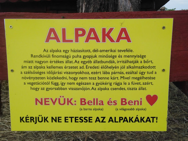 Mézes Kávézó és Falatozó - Étterem