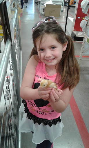 Home Improvement Store «Tractor Supply Co.», reviews and photos, 5387 Scottsville Rd, Bowling Green, KY 42104, USA