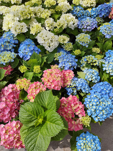 Home Improvement Store «The Home Depot», reviews and photos, 3200 Puente Ave, Baldwin Park, CA 91706, USA