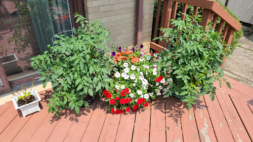 Home Improvement Store «The Home Depot», reviews and photos, 475 S Schmale Rd, Carol Stream, IL 60188, USA