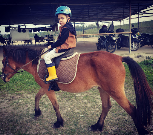 Horseback riding lessons Hanoi