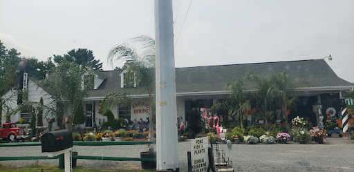 Pet Store «Farmer Girl Exotic Gardens», reviews and photos, 18940 Coastal Hwy, Rehoboth Beach, DE 19971, USA