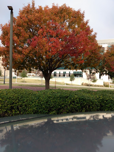 Museum «Amon Carter Museum of American Art», reviews and photos, 3501 Camp Bowie Blvd, Fort Worth, TX 76107, USA