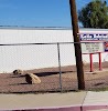 Katie Hohstadt Elementary School Logo, Needles, United States, School