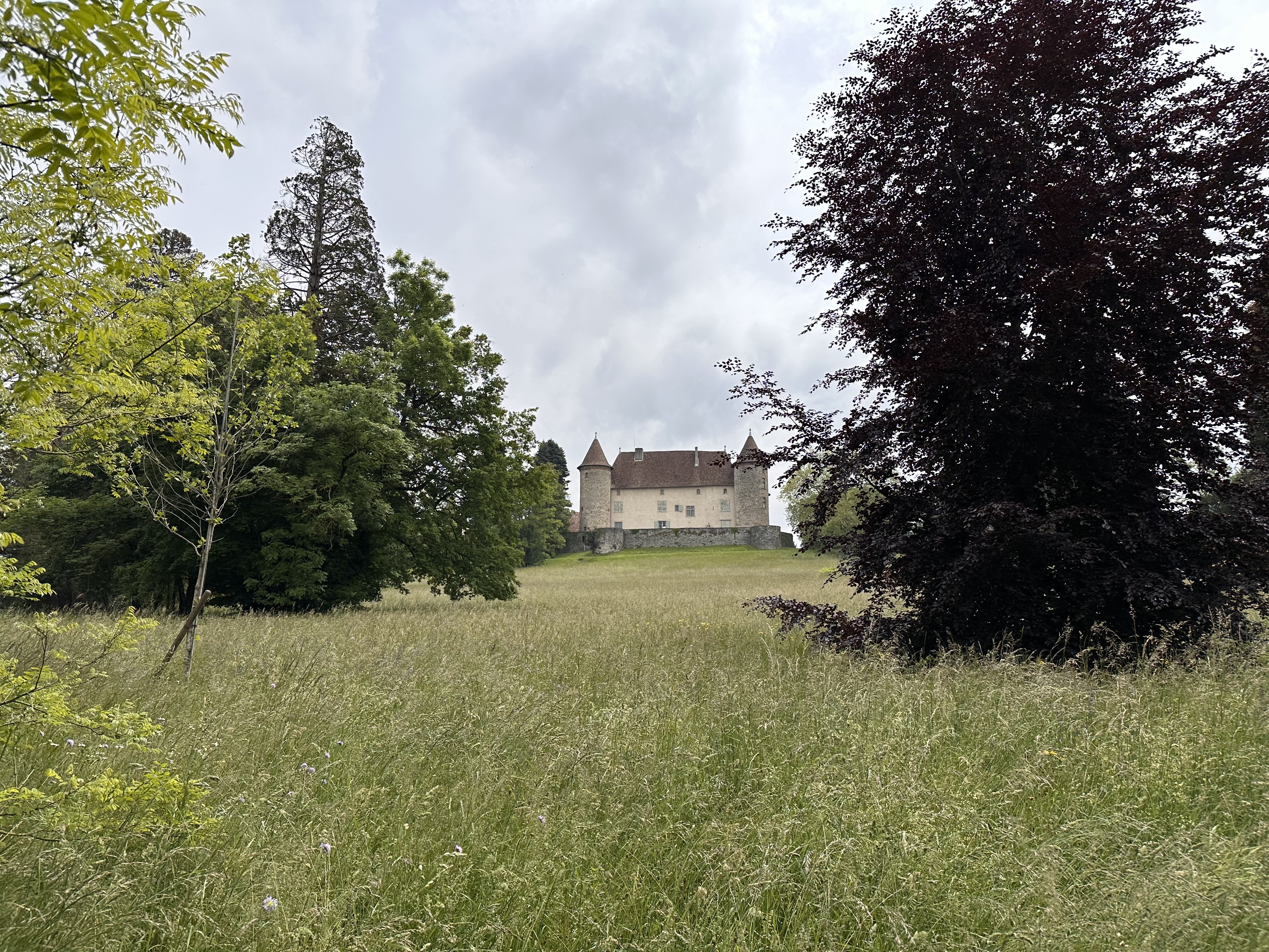 Photo n° 1 de l'avis de Adrien.a fait le 20/05/2023 à 11:11