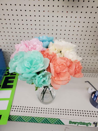 Dollar Store «Dollar Tree», reviews and photos, 2464 W Brandon Blvd, Brandon, FL 33511, USA