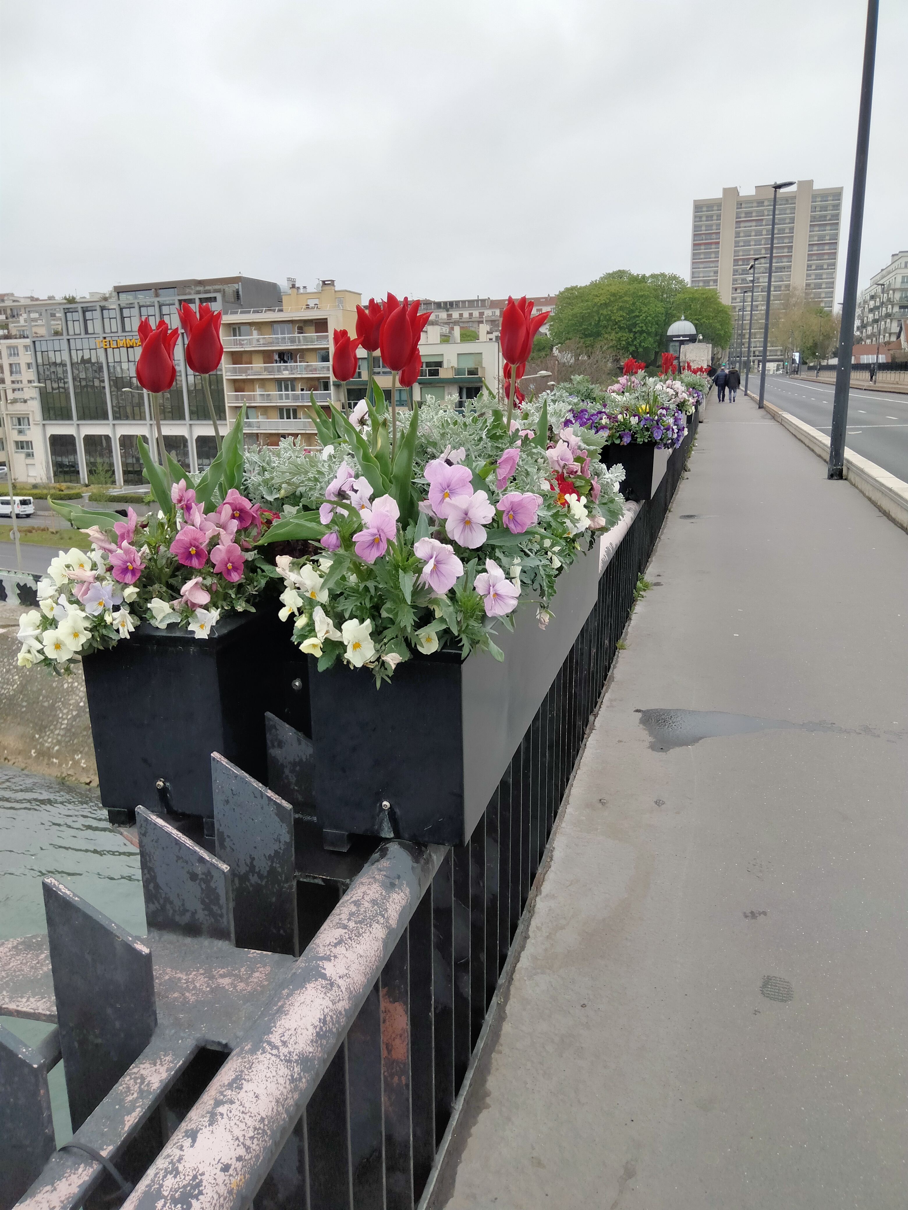 Photo n° 12 de l'avis de Christophe.i fait le 05/04/2022 à 13:19