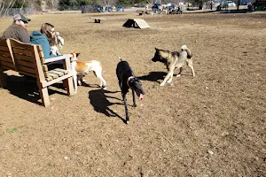 Live Free and Run Dog Park image