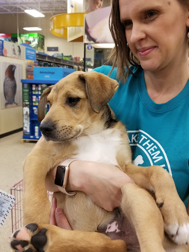 Pet Supply Store «PetSmart», reviews and photos, 5435 W TX-1604 Loop N, San Antonio, TX 78253, USA