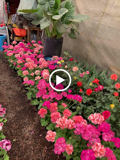 Supermarket «Compare Foods», reviews and photos, 1233 University Dr, Durham, NC 27707, USA