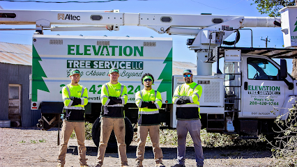 Elevation Tree Service LLC, Magic Valley