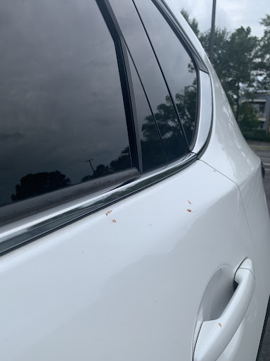 Car Wash «Mister Car Wash», reviews and photos, 2980 Piedmont Rd NE, Atlanta, GA 30305, USA