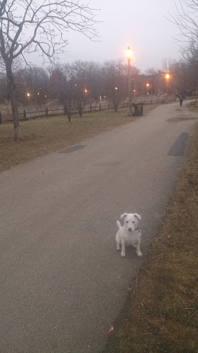 Park «Winnemac Park», reviews and photos, 5100 N Leavitt St, Chicago, IL 60625, USA